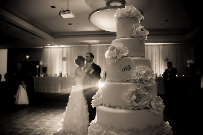 Copyright(C) 2014 Night and Day Photography