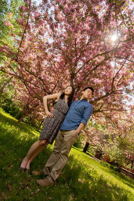 Copyright(C) 2014 Night and Day Photography