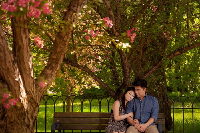 Copyright(C) 2014 Night and Day Photography