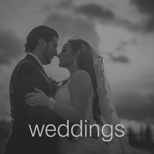 All About Edmonton Wedding Photography